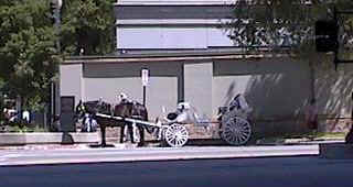 The Horse Carriage to be used for several scenes...